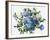 Blue Petals-Asia Jensen-Framed Art Print