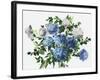 Blue Petals-Asia Jensen-Framed Art Print