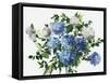 Blue Petals-Asia Jensen-Framed Stretched Canvas