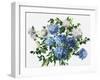 Blue Petals-Asia Jensen-Framed Art Print