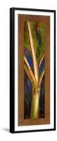 Blue Plantain-Patricia Pinto-Framed Premium Giclee Print