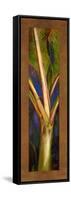 Blue Plantain-Patricia Pinto-Framed Stretched Canvas