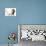 Blue-Point Kitten and Blue-And-Tan Dachshund Puppy, Baloo, 15 Weeks-Mark Taylor-Photographic Print displayed on a wall