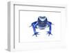 Blue Poison Dart Frog (Dendrobates Tinctorius Azureus) Portrait, Captive-Jp Lawrence-Framed Premium Photographic Print