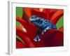 Blue Poison Dart Frog, Surinam-Adam Jones-Framed Photographic Print