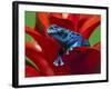 Blue Poison Dart Frog, Surinam-Adam Jones-Framed Photographic Print