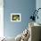 Blue poison dart frog-Maresa Pryor-Framed Photographic Print displayed on a wall