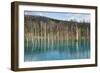 Blue Pond (Aoi Ike), Daisetsuzan National Park, UNESCO World Heritage Site, Hokkaido, Japan, Asia-Michael Runkel-Framed Photographic Print