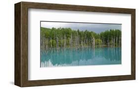 Blue Pond In Hokkaido Japan-null-Framed Art Print