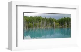 Blue Pond In Hokkaido Japan-null-Framed Art Print