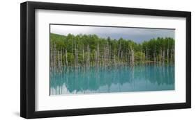 Blue Pond In Hokkaido Japan-null-Framed Art Print