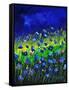 Blue Poppies 674160-Pol Ledent-Framed Stretched Canvas