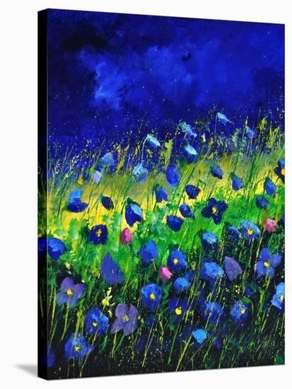 Blue Poppies 674160-Pol Ledent-Stretched Canvas