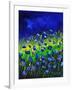 Blue Poppies 674160-Pol Ledent-Framed Art Print