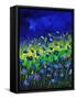 Blue Poppies 674160-Pol Ledent-Framed Stretched Canvas