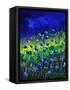 Blue Poppies 674160-Pol Ledent-Framed Stretched Canvas