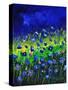 Blue Poppies 674160-Pol Ledent-Stretched Canvas