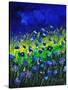 Blue Poppies 674160-Pol Ledent-Stretched Canvas