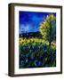 Blue Poppies 67-Pol Ledent-Framed Art Print