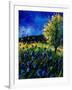 Blue Poppies 67-Pol Ledent-Framed Art Print