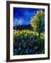 Blue Poppies 67-Pol Ledent-Framed Art Print
