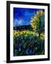 Blue Poppies 67-Pol Ledent-Framed Art Print