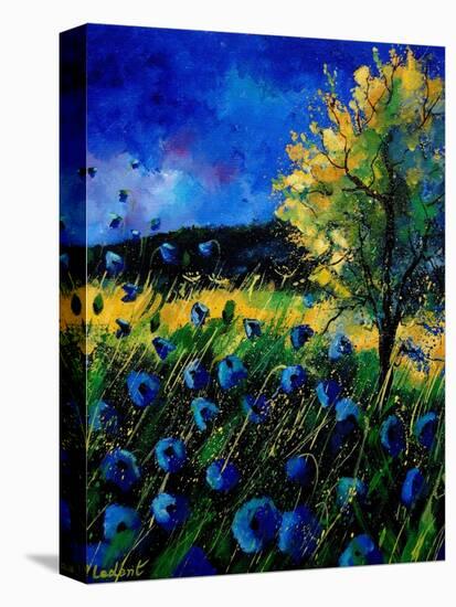 Blue Poppies 67-Pol Ledent-Stretched Canvas