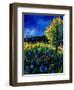 Blue Poppies 67-Pol Ledent-Framed Art Print