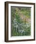 Blue Poppies-Susan Ryder-Framed Giclee Print