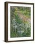 Blue Poppies-Susan Ryder-Framed Giclee Print