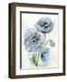 Blue Poppy 1-Patti Bishop-Framed Art Print