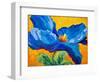 Blue Poppy 2-Marion Rose-Framed Giclee Print