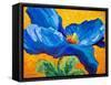 Blue Poppy 2-Marion Rose-Framed Stretched Canvas
