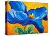 Blue Poppy 2-Marion Rose-Stretched Canvas