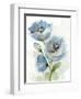 Blue Poppy 2-Patti Bishop-Framed Art Print