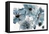 Blue Poppy Bouquet-Victoria Brown-Framed Stretched Canvas