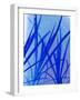 Blue Poster Palm-Ruth Palmer-Framed Art Print