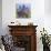 Blue Primroses-Joan Thewsey-Giclee Print displayed on a wall