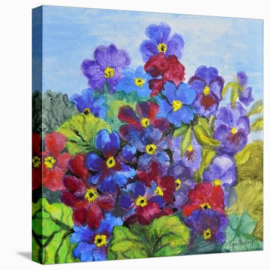Blue Primroses-Joan Thewsey-Stretched Canvas
