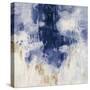 Blue Rain-Silvia Vassileva-Stretched Canvas