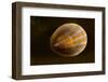 Blue Rayed Limpet (Patina - Ansates Pellucida) Saltstraumen, Bod?, Norway, October 2008-Lundgren-Framed Photographic Print