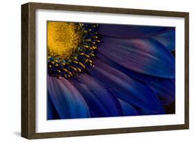 Blue Rays-Thorsteinn H.-Framed Photographic Print