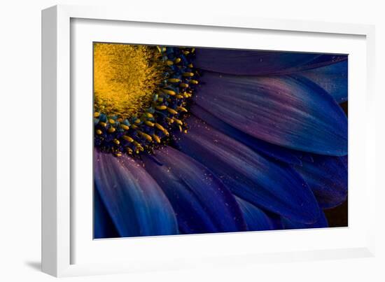 Blue Rays-Thorsteinn H.-Framed Photographic Print