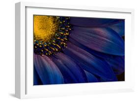 Blue Rays-Thorsteinn H.-Framed Photographic Print