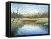 Blue Reflection-Kevin Dodds-Framed Stretched Canvas