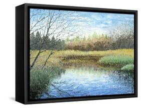 Blue Reflection-Kevin Dodds-Framed Stretched Canvas