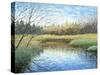 Blue Reflection-Kevin Dodds-Stretched Canvas