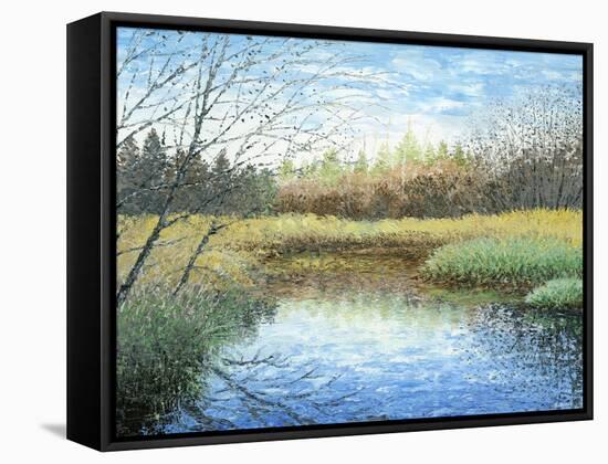 Blue Reflection-Kevin Dodds-Framed Stretched Canvas