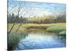 Blue Reflection-Kevin Dodds-Stretched Canvas