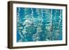 Blue Reflections I-Kathy Mahan-Framed Photographic Print